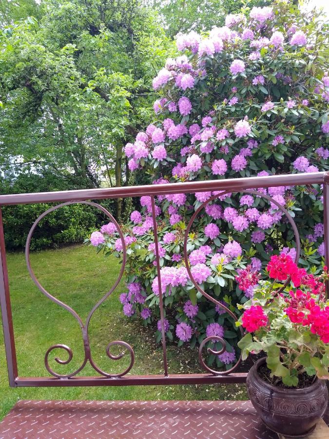 Alster City Garden Villa Hamburg Exterior photo